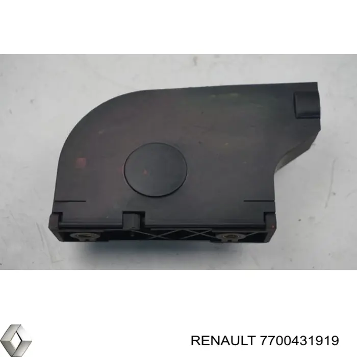  7700431919 Renault (RVI)