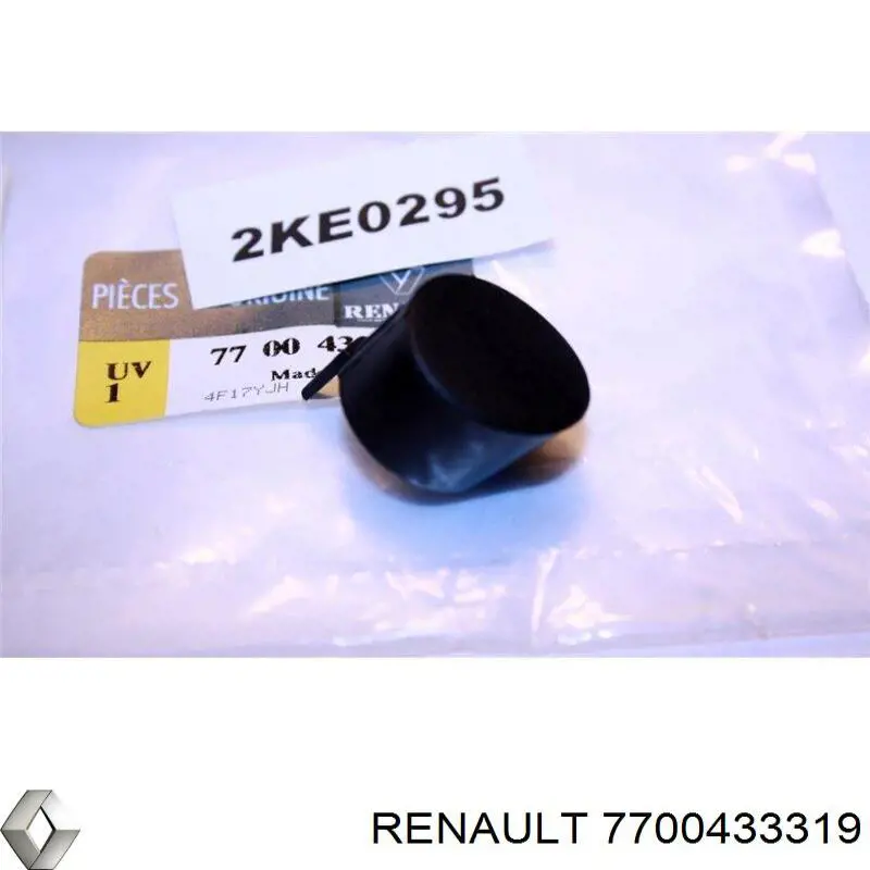 7700433319 Renault (RVI) Tampão da porca de fixação do braço de limpador de pára-brisa traseiro
