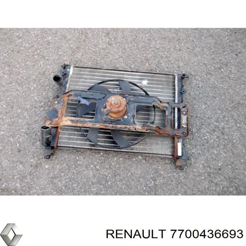 Compre 7700436693 Renault (RVI) Radiador de esfriamento de motor