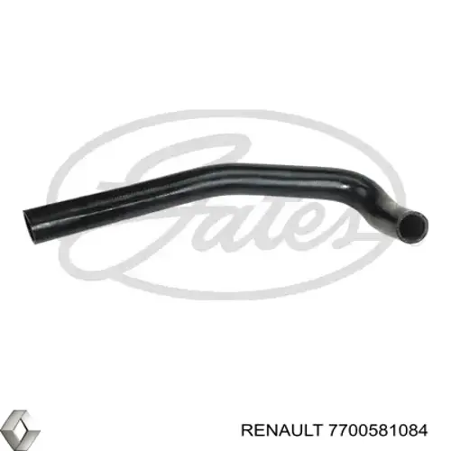 Mangueira (cano derivado) inferior do radiador de esfriamento 7700581084 Renault (RVI)