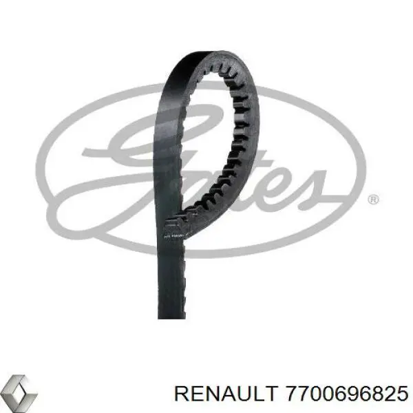 Compre 7700749099 Renault (RVI) Correia dos conjuntos de transmissão