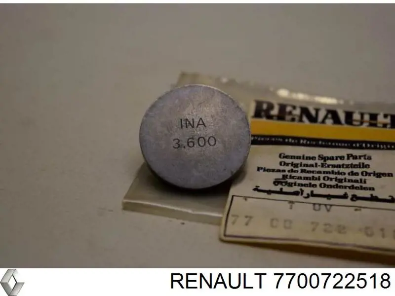 7700722518 Renault (RVI) 