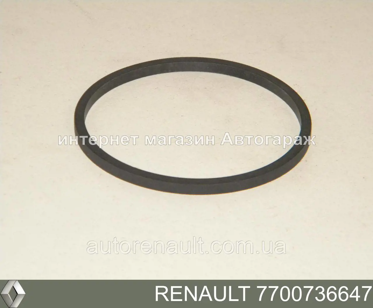 7700736647 Renault (RVI) Vedante do radiador de óleo