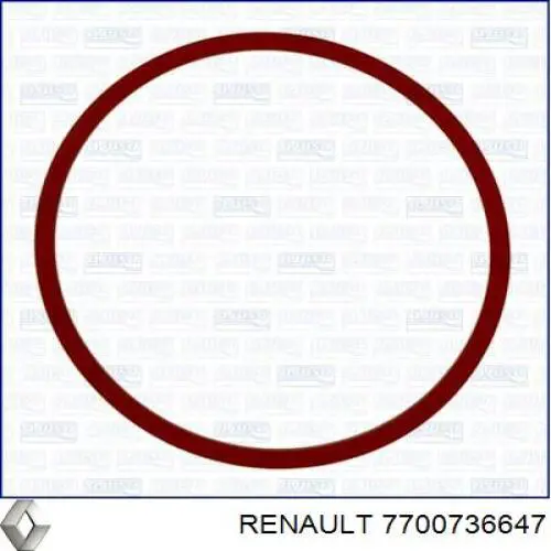 7700736647 Renault (RVI) Vedante do radiador de óleo