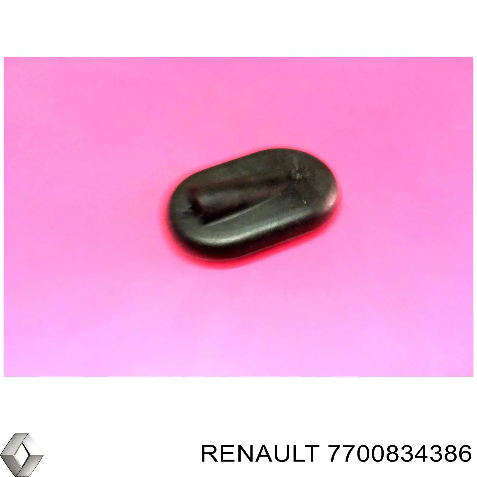 7700834386 Renault (RVI) 