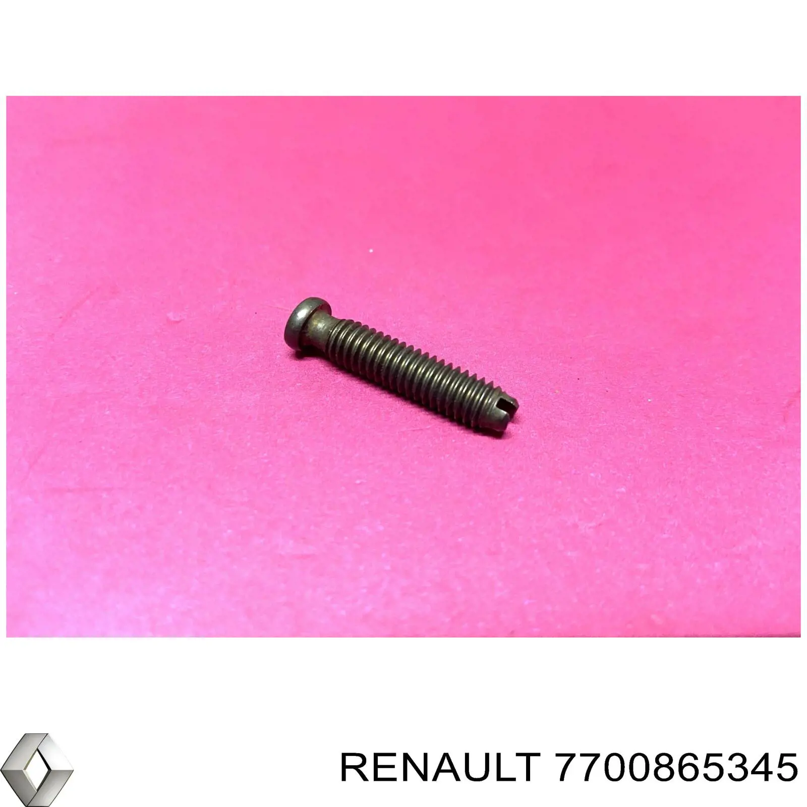 7700865345 Renault (RVI) Parafuso do balanceiro de válvulas