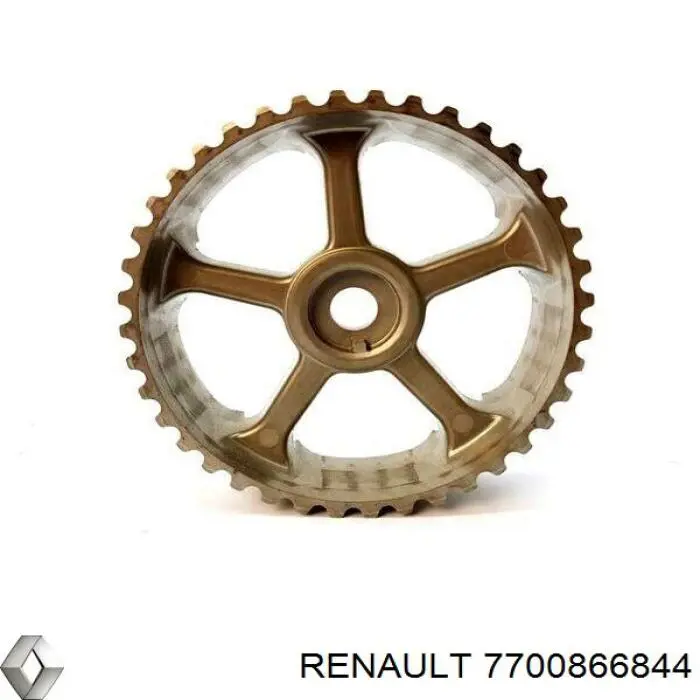 7700866844 Renault (RVI) Engrenagem de cadeia da roda dentada da árvore distribuidora de motor