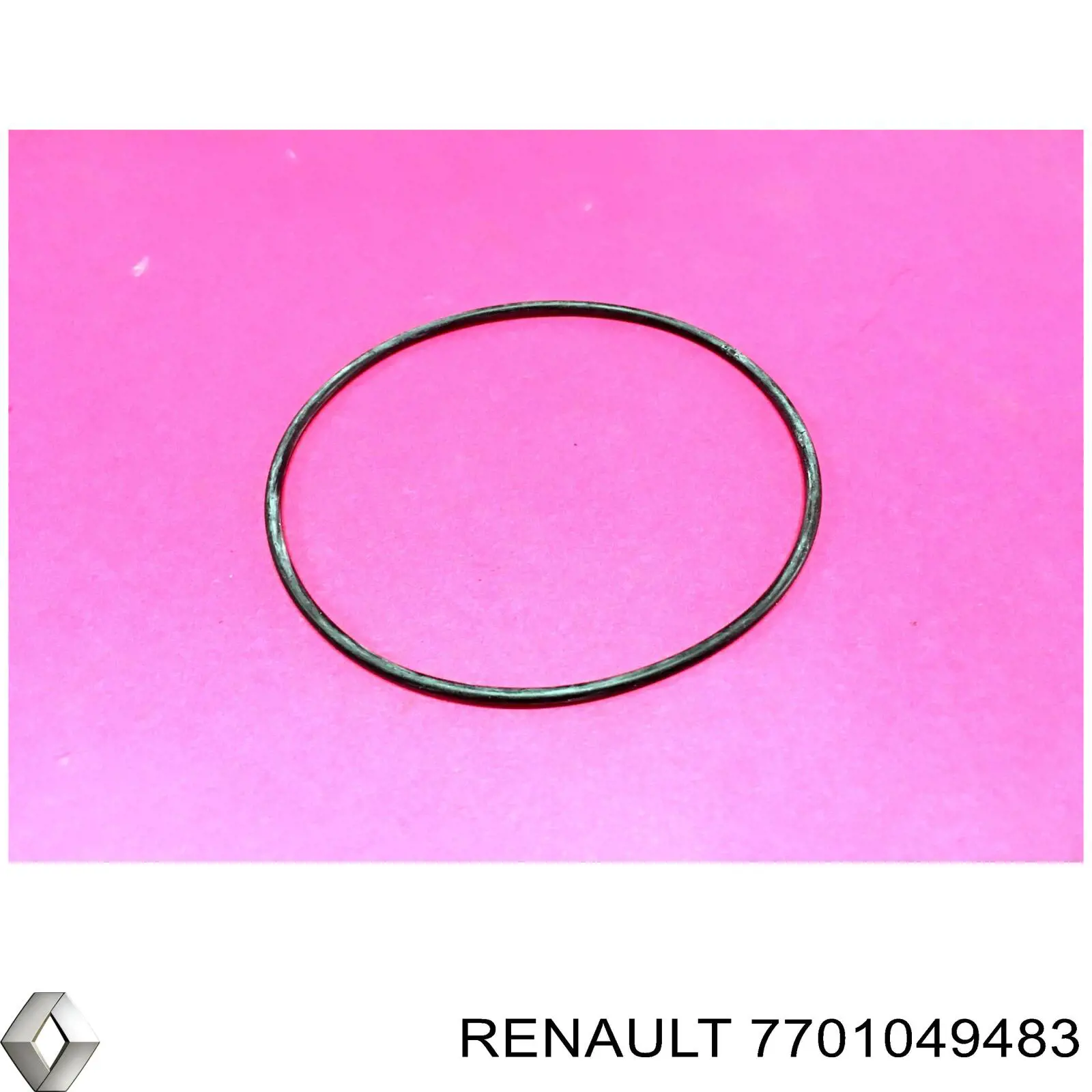 Vedante de bomba de água Renault (RVI) 7701049483 preço, a partir de 15,29 USD