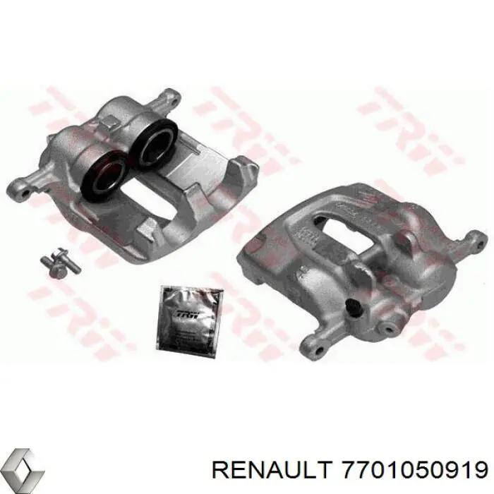 7701050919 Renault (RVI) Suporte do freio dianteiro esquerdo