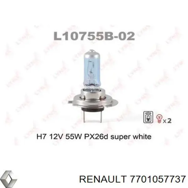 Compre 7701057737 Renault (RVI) Lâmpada halógena