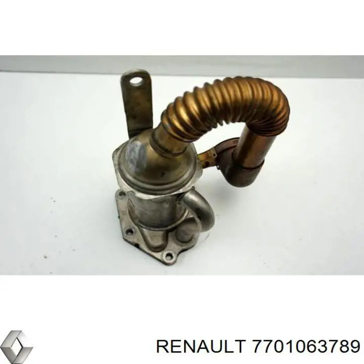 Radiador do sistema EGR de recirculação dos gases de escape 7701063789 Renault (RVI)