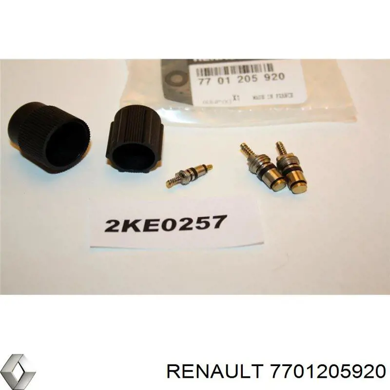 Compre 7701205920 Renault (RVI) 