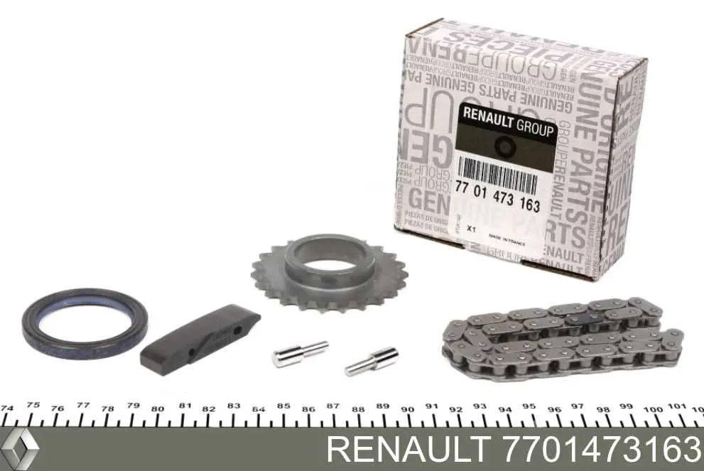 7701473163 Renault (RVI) Cadeia de bomba de óleo, kit