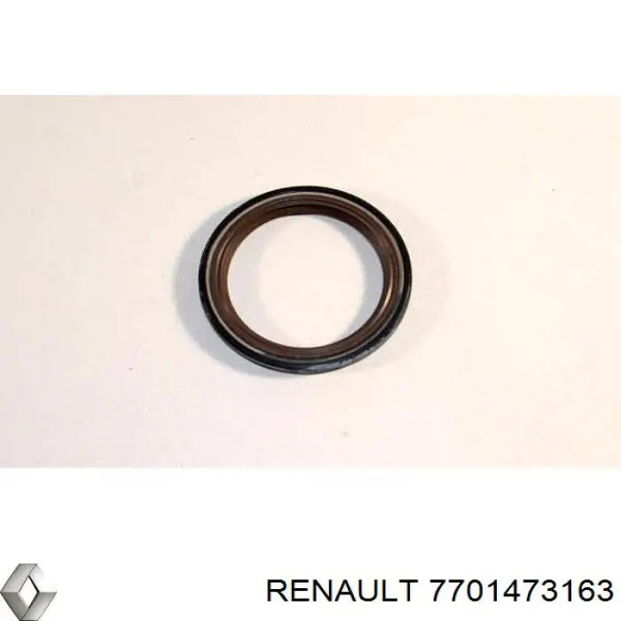 Cadeia de bomba de óleo, kit 7701473163 Nissan/Infiniti