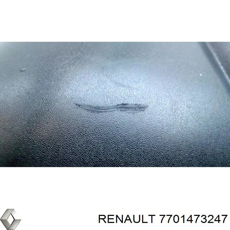Compre 7701473247 Renault (RVI) Espelho de retrovisão direito