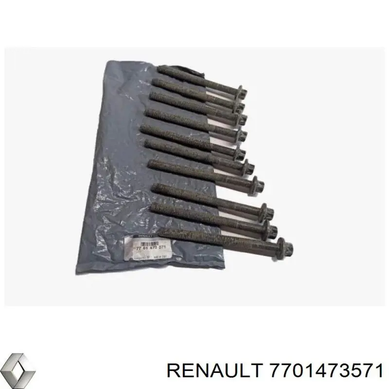 Compre 7701473571 Renault (RVI) Parafuso de cabeça de motor (CBC)