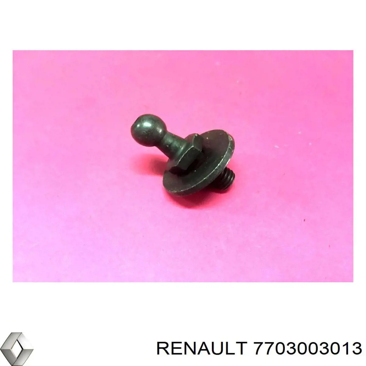 7703003013 Renault (RVI) 