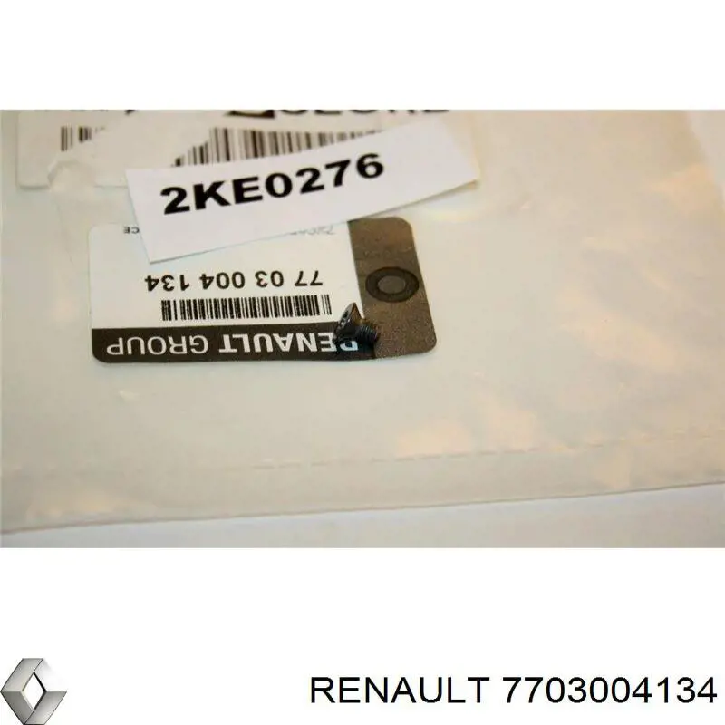 7703004134 Renault (RVI) 