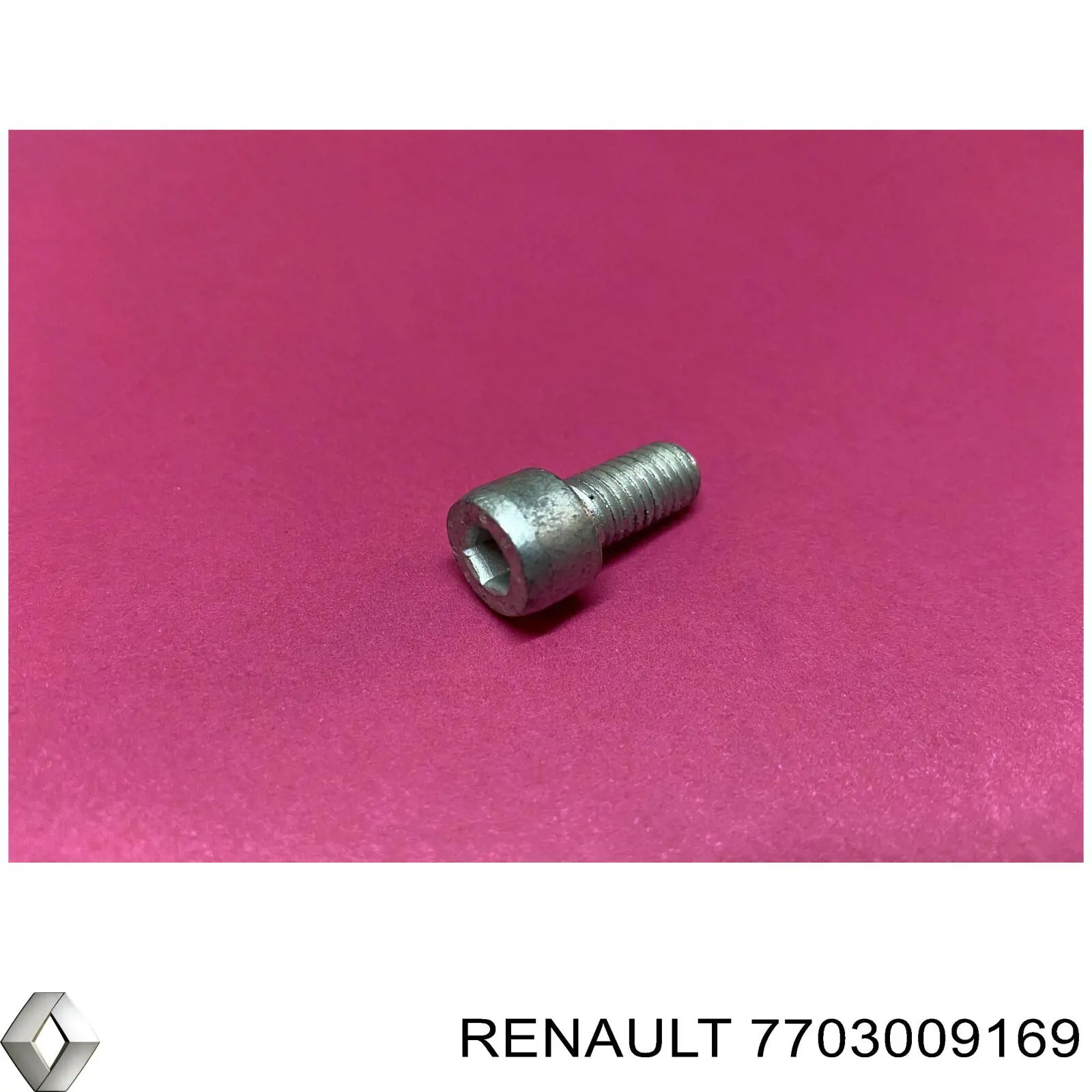 7703009169 Renault (RVI) 
