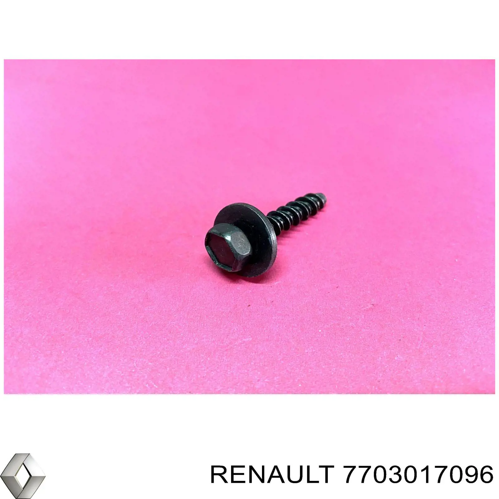7703017096 Renault (RVI) 