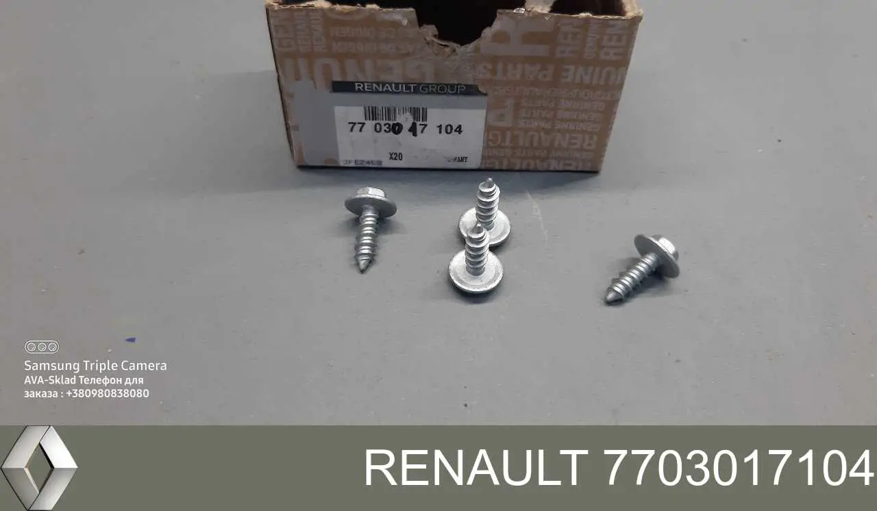 7703017087 Renault (RVI) Parafuso