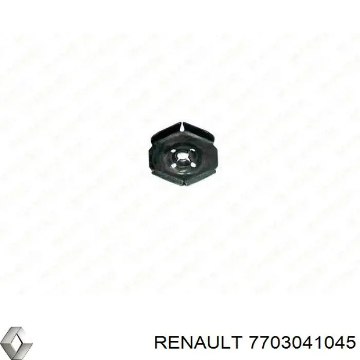 7703041045 Renault (RVI) Cápsula (prendedor) de fixação de placas sobrepostas do acesso