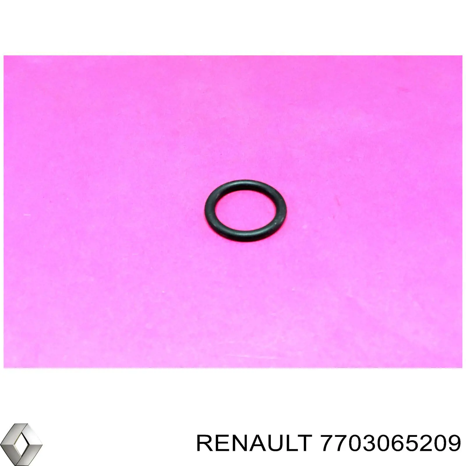 7703065209 Renault (RVI) 