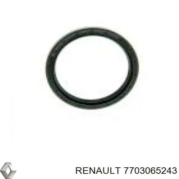 7703065243 Renault (RVI) Anel de vedação dos tubos de ligação da cremalheira da direção