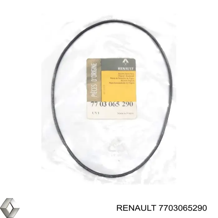 Vedante (anel) de bomba de óleo da Caixa Automática de Mudança Renault (RVI) 7703065290 preço, a partir de 23,98 USD
