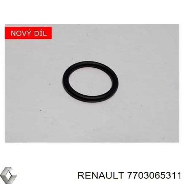 Compre 7703065311 Renault (RVI) Vedante de cano derivado de bomba