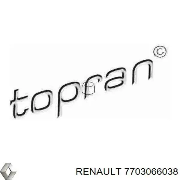  Renault (RVI) 7703066038 preço, a partir de 17,55 USD