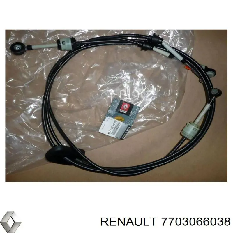 Compre 7703066038 Renault (RVI) 