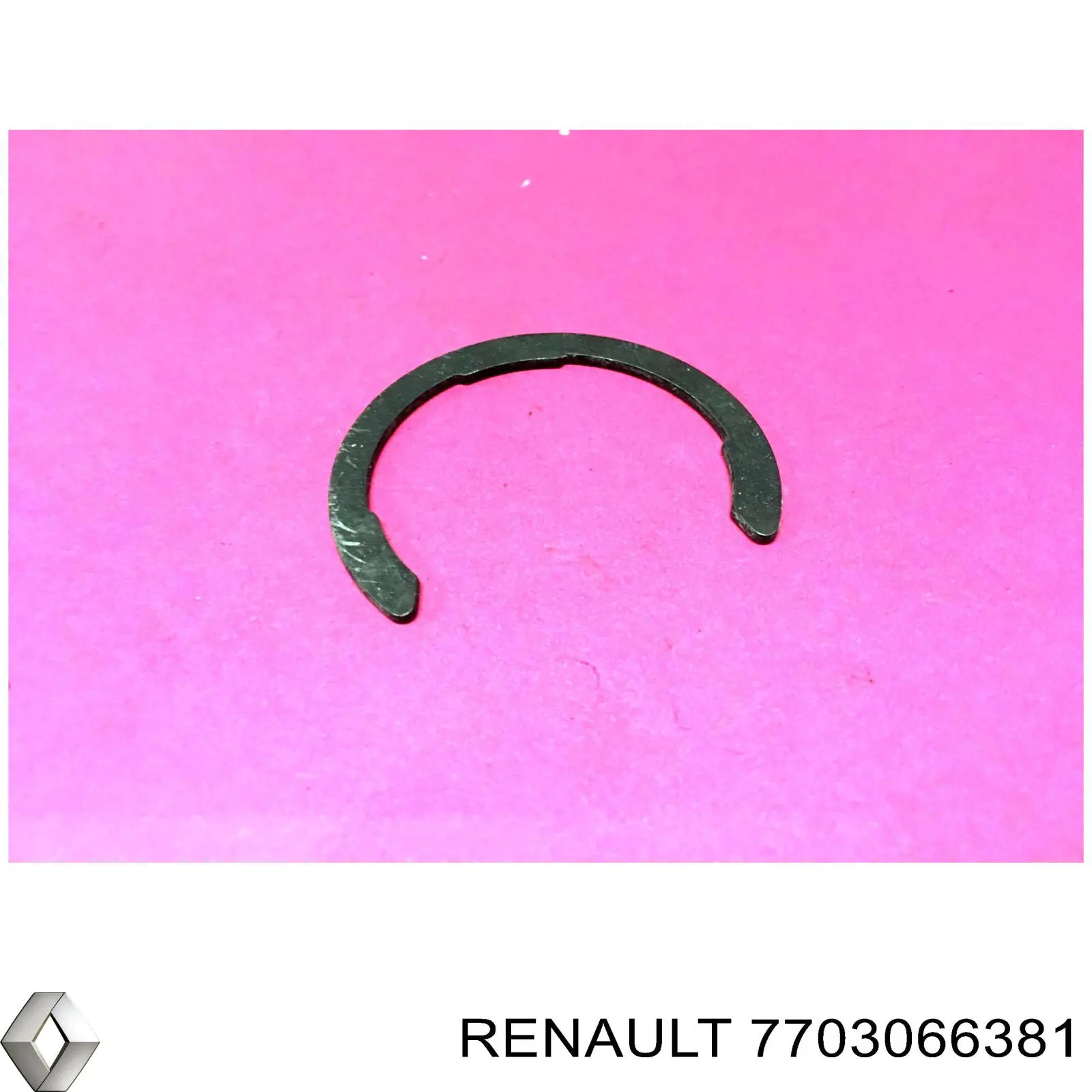 7703066381 Renault (RVI) Anel de travagem de rolamento suspenso do semieixo dianteiro