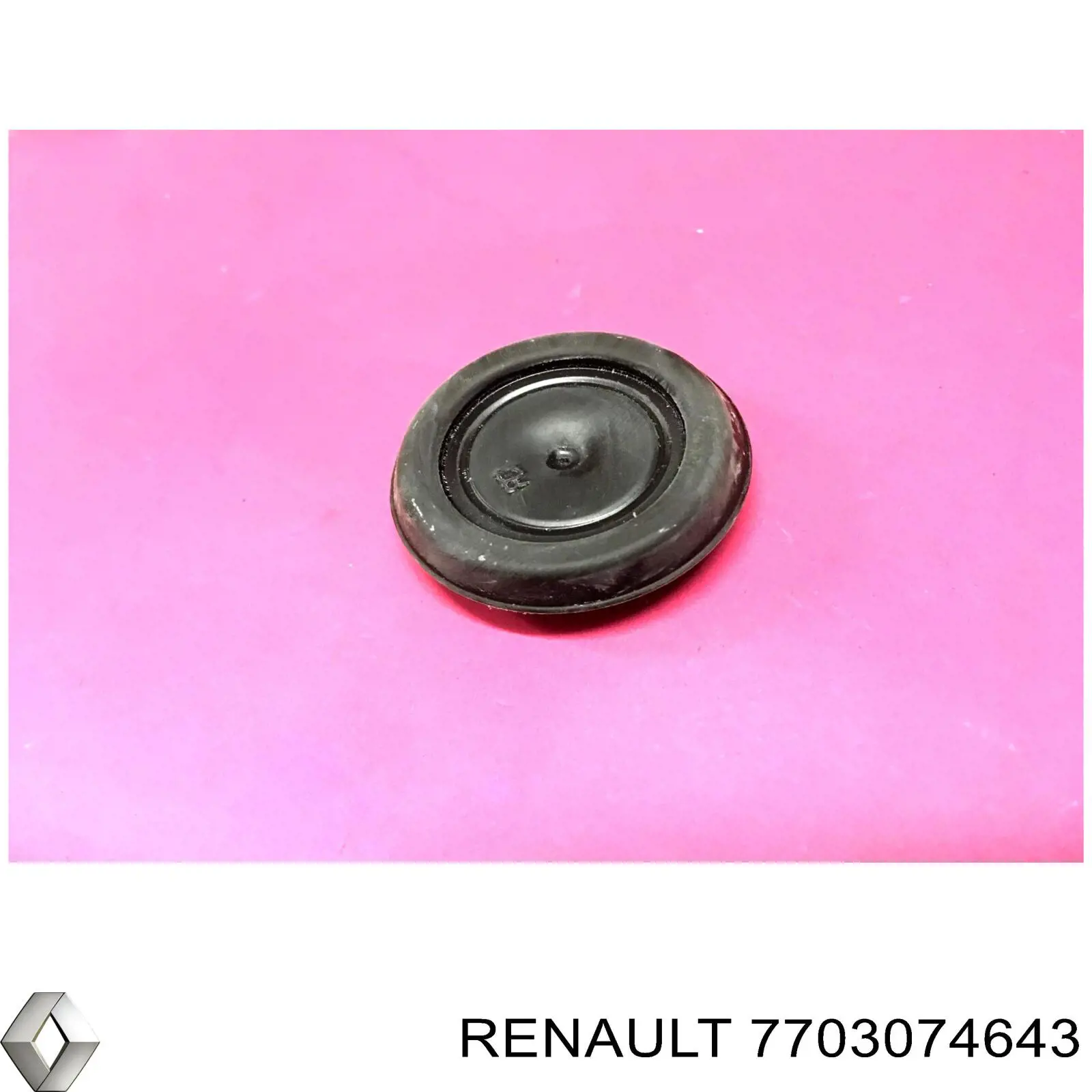 7703074643 Renault (RVI) 