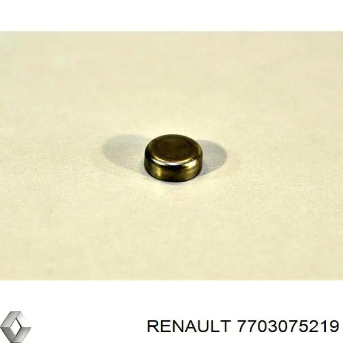 Tampão CBC/do bloco de cilindros Renault (RVI) 7703075219 preço, a partir de 12,30 USD