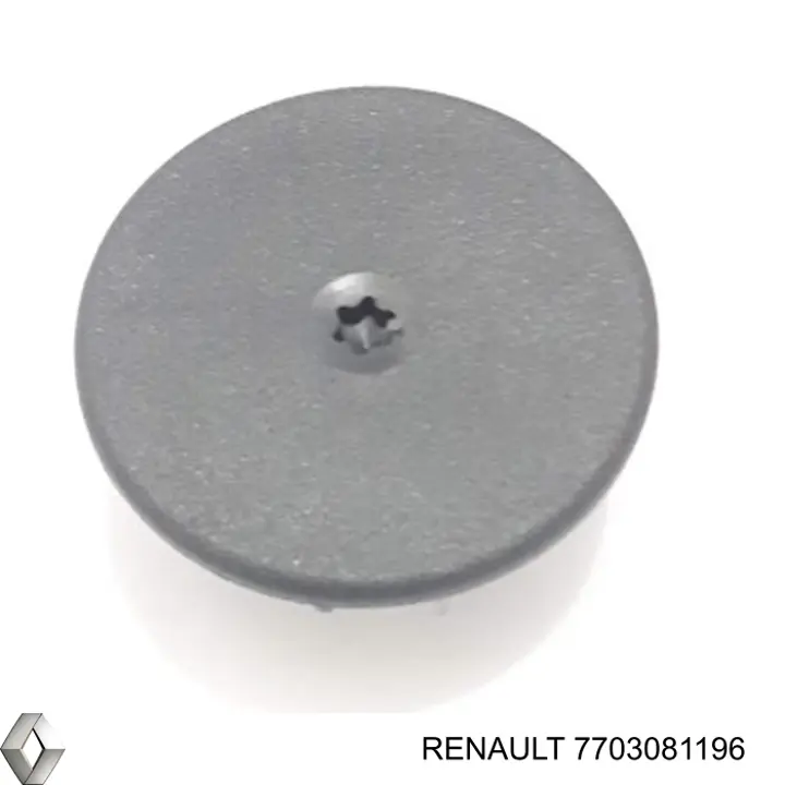 7703081196 Renault (RVI) 