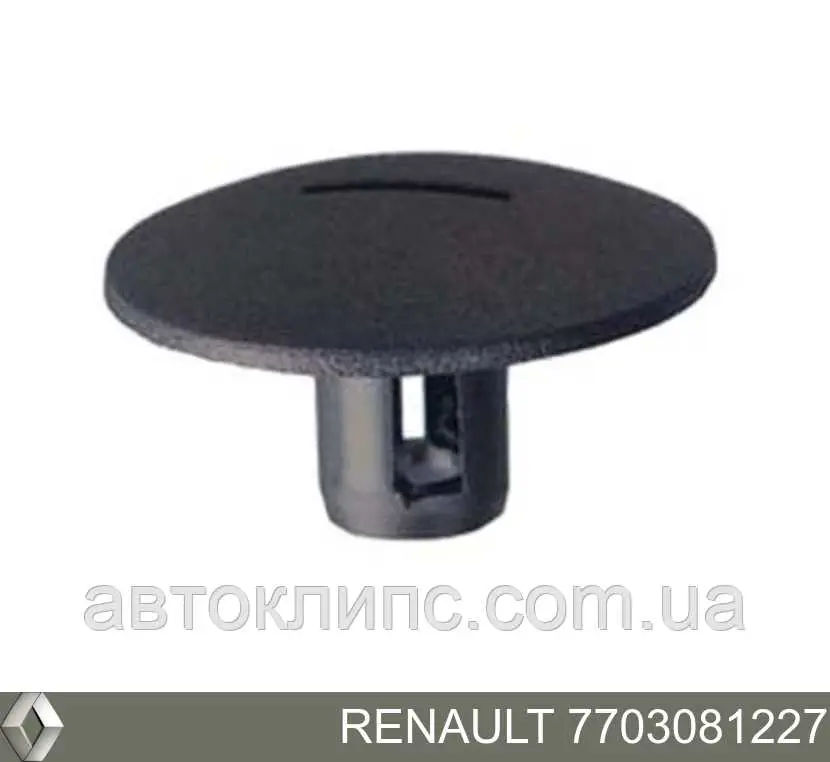 7703081227 Renault (RVI) Cápsula (prendedor) de fixação de protetor de lama