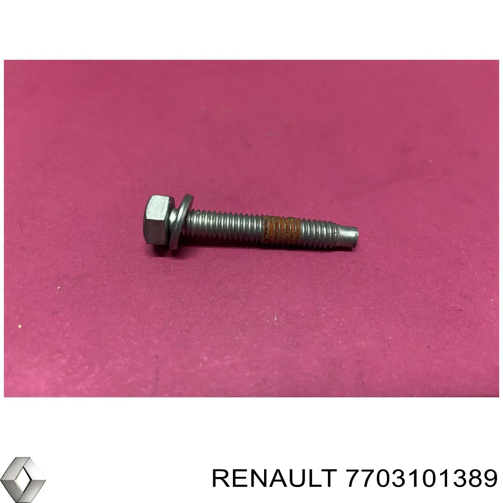 7703101389 Renault (RVI) 