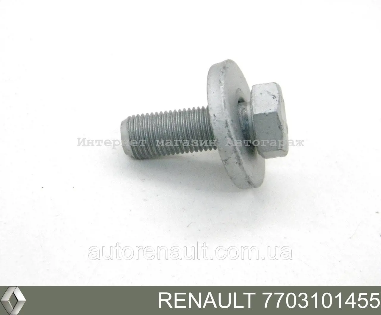 N110100Q0A Renault (RVI) Parafuso da engrenagem da árvore distribuidora