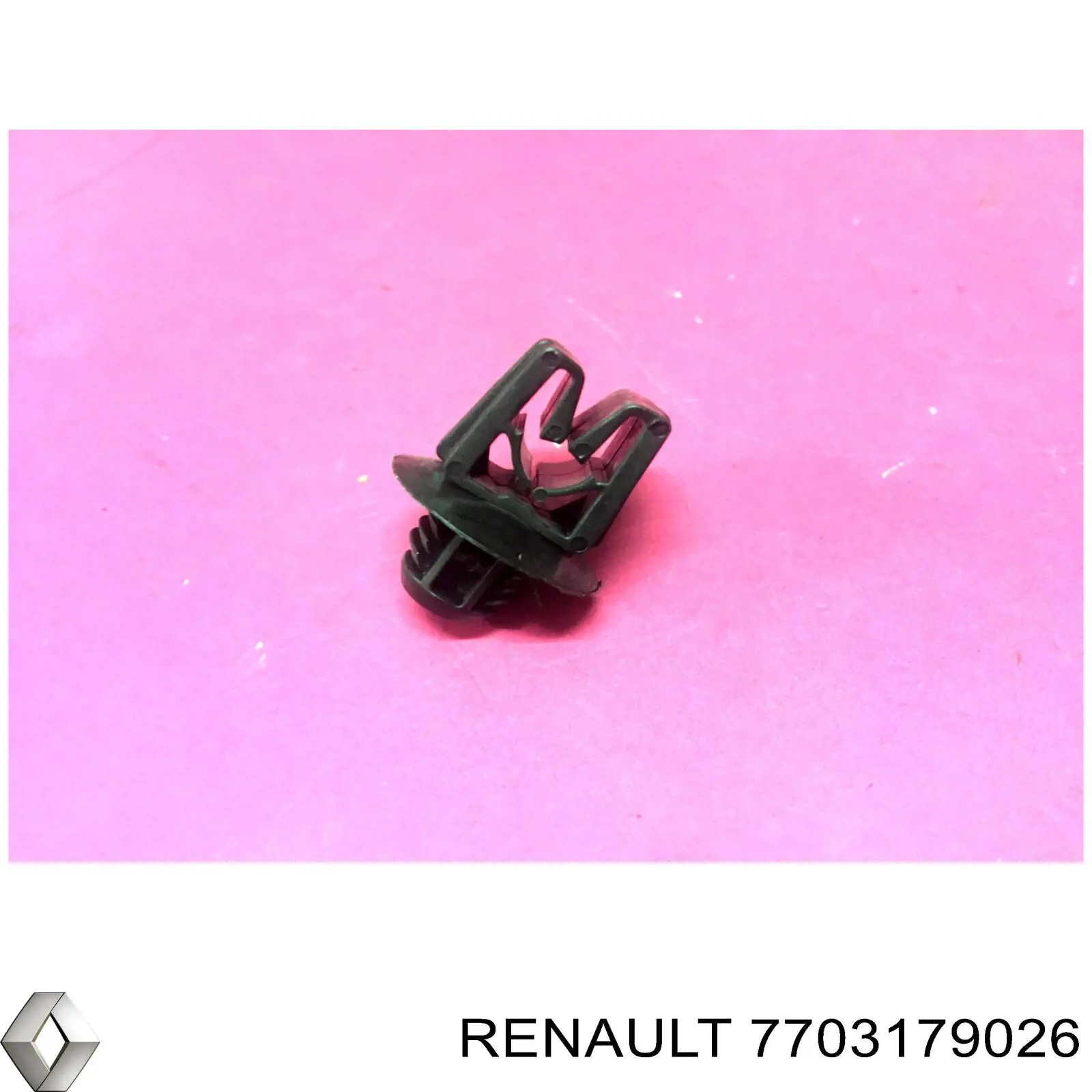 7703179026 Renault (RVI) Braçadeira de fixação de mangueira de combustível