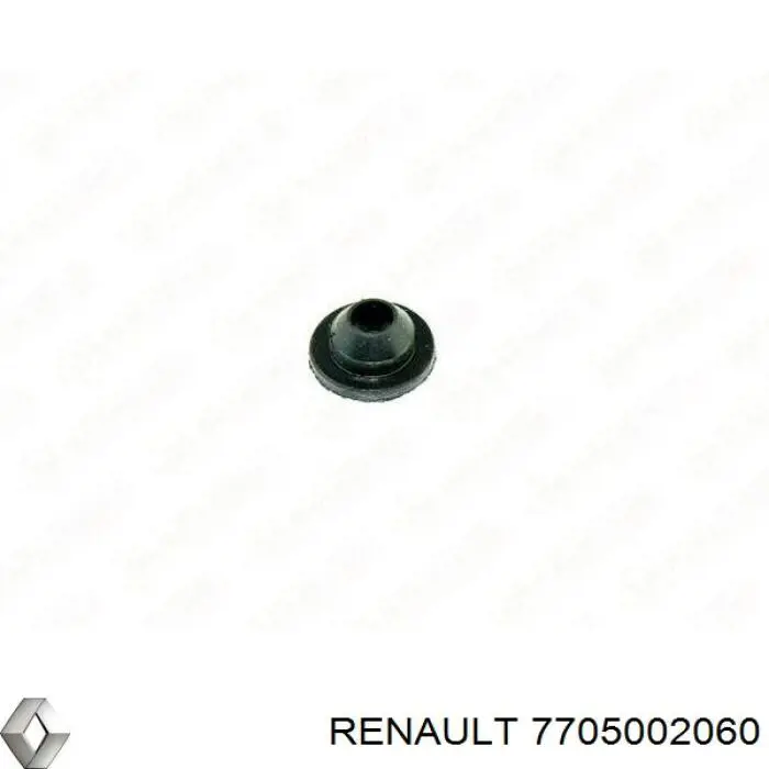 7705002060 Renault (RVI) Vedante anular de bomba de fluido para lavador