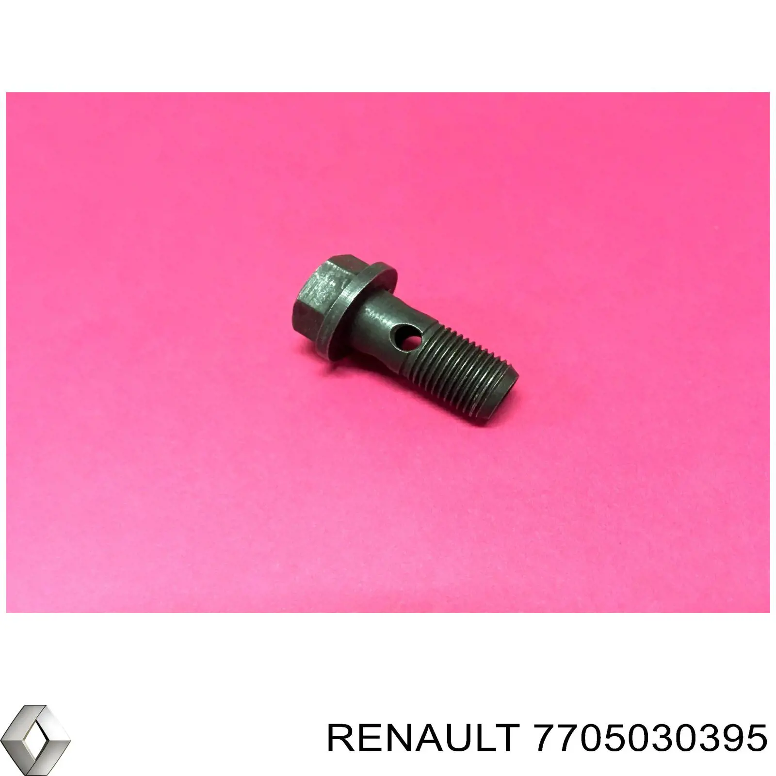 7705030395 Renault (RVI) Parafuso de tubo de turbina de fornecimento de óleo
