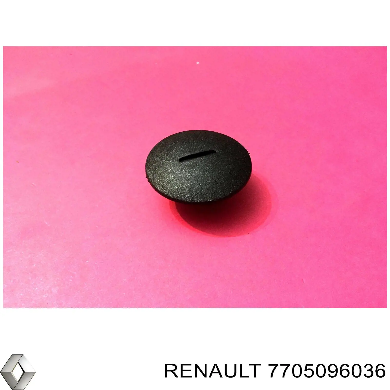 7705096036 Renault (RVI) Cápsula (prendedor) de fixação do forro do pára-choque do pára-lama dianteiro