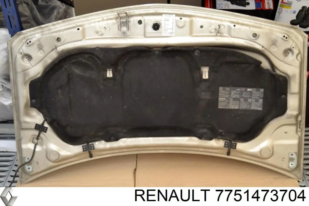 7751473704 Renault (RVI) Capota