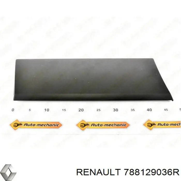 788129036R Renault (RVI) Placa sobreposta do pára-lama traseiro direito