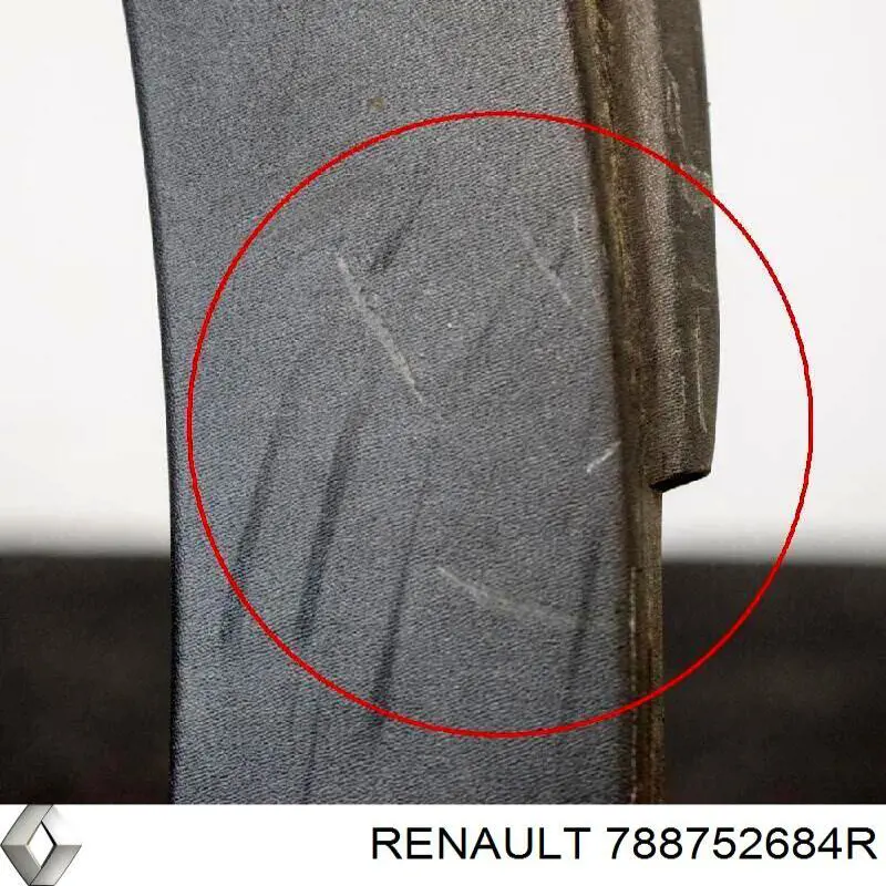 Expansor esquerdo (placa sobreposta) de arco do pára-lama traseiro 788752684R Renault (RVI)