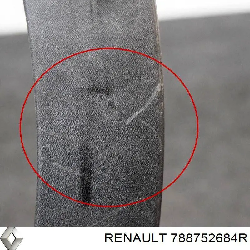 Expansor esquerdo (placa sobreposta) de arco do pára-lama traseiro 788752684R Renault (RVI)