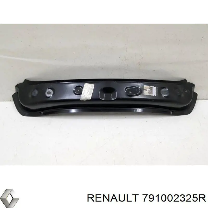 791002325R Renault (RVI) Painel traseiro da seção de bagagem