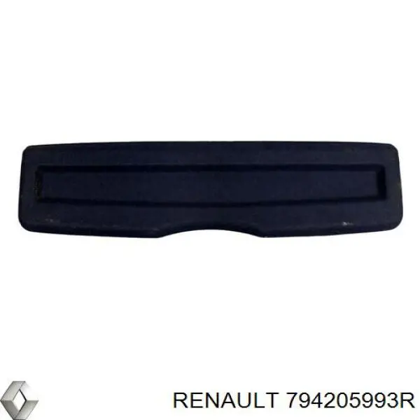 794205993R Renault (RVI) 