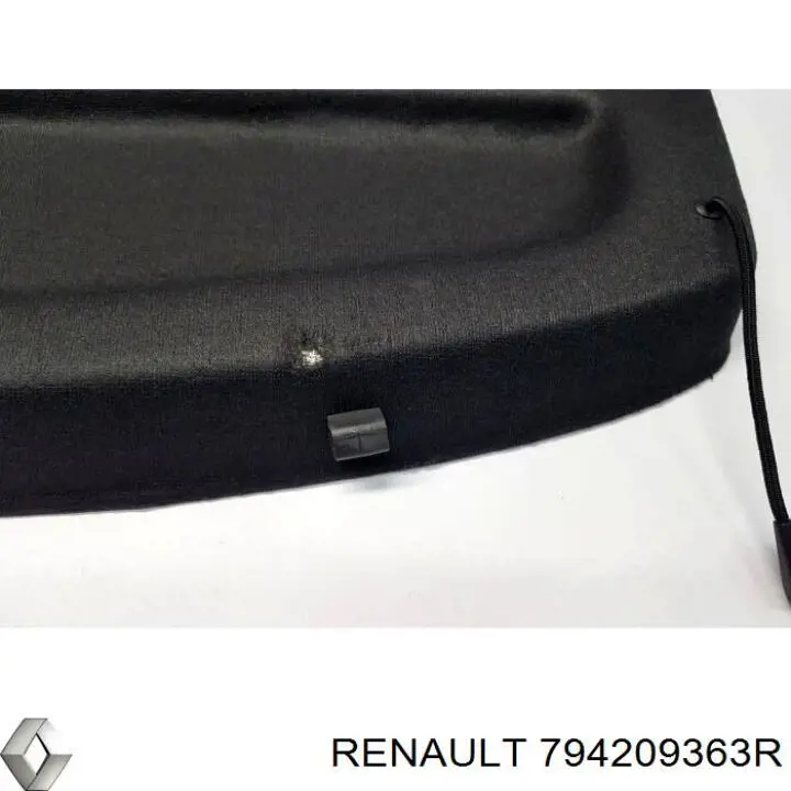 794209363R Renault (RVI) 